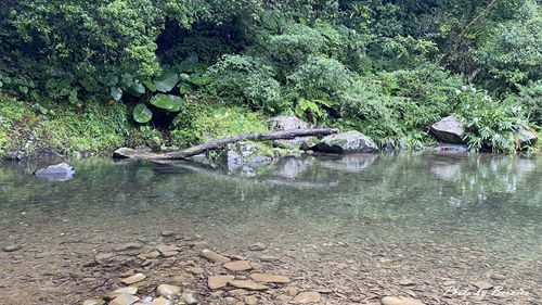 1010 2-魚蕨步道14.jpg