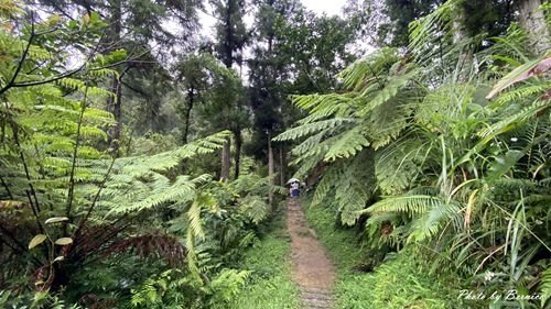 1010 2-魚蕨步道10.jpg