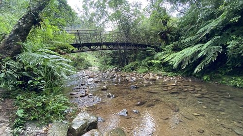1010 1-坪林一日遊10.jpg