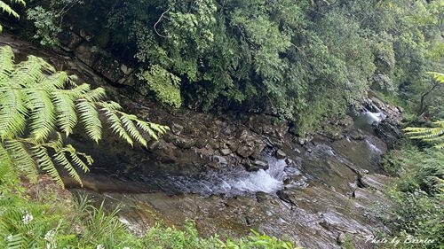 1010 1-坪林一日遊11.jpg