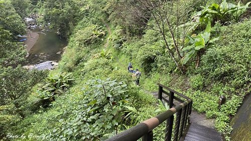 1010 1-坪林一日遊09.jpg