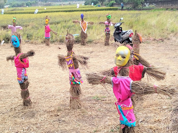 2020 桃園花彩節-楊梅場-「花香蜜意 楊梅好哞」