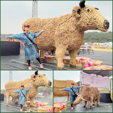 2020 桃園花彩節-楊梅場-「花香蜜意 楊梅好哞」