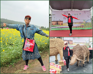 2020 桃園花彩節-楊梅場-「花香蜜意 楊梅好哞」