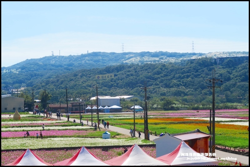 楊梅花彩節23.JPG