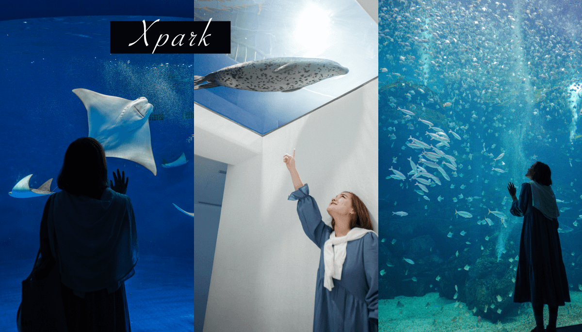 jets嘉年華桃園場|桃園青埔 2020 景點|遊樂設施、特色美食、交通停車資訊、周邊住宿懶人包