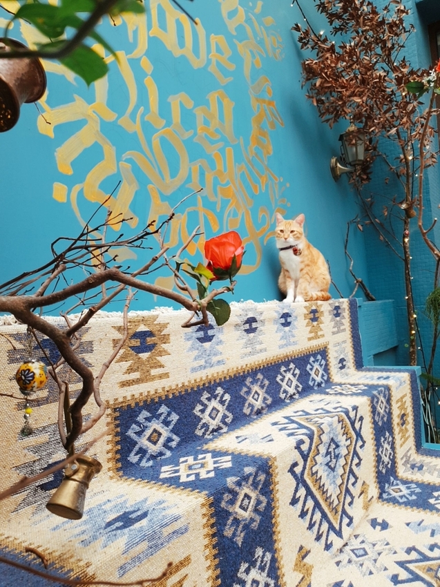 200919.jpg - 【台北.東門站】登陸土星永康店友善寵物咖啡廳。土耳其咖啡超好喝。藍色系網美店超好拍