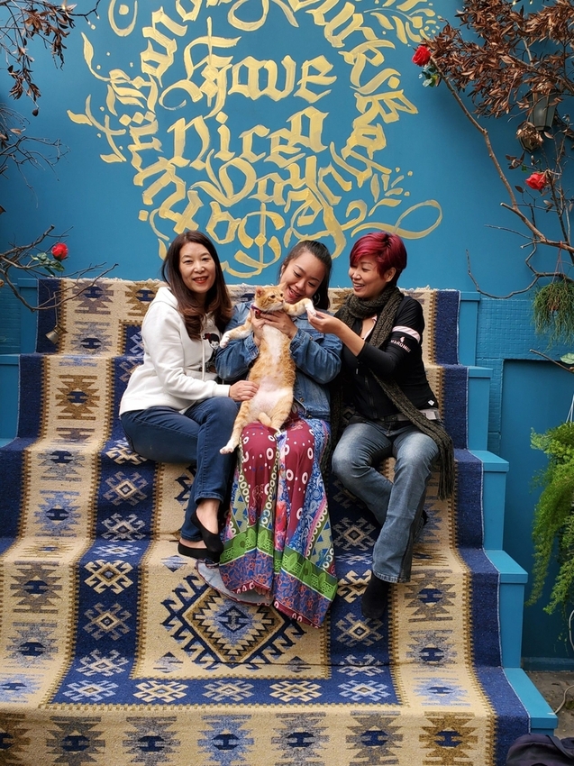 200912.jpg - 【台北.東門站】登陸土星永康店友善寵物咖啡廳。土耳其咖啡超好喝。藍色系網美店超好拍