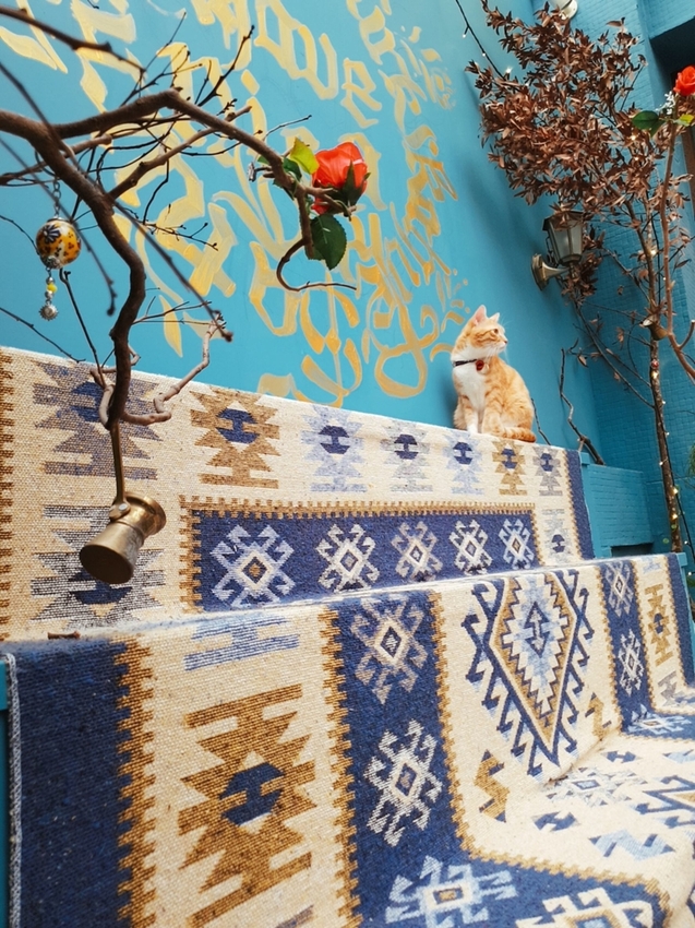 200920.jpg - 【台北.東門站】登陸土星永康店友善寵物咖啡廳。土耳其咖啡超好喝。藍色系網美店超好拍