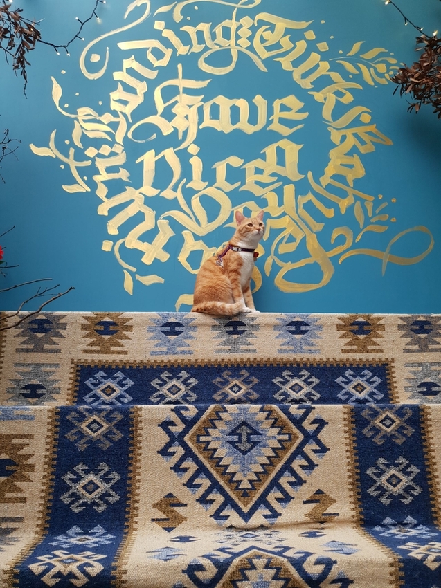 200923.jpg - 【台北.東門站】登陸土星永康店友善寵物咖啡廳。土耳其咖啡超好喝。藍色系網美店超好拍