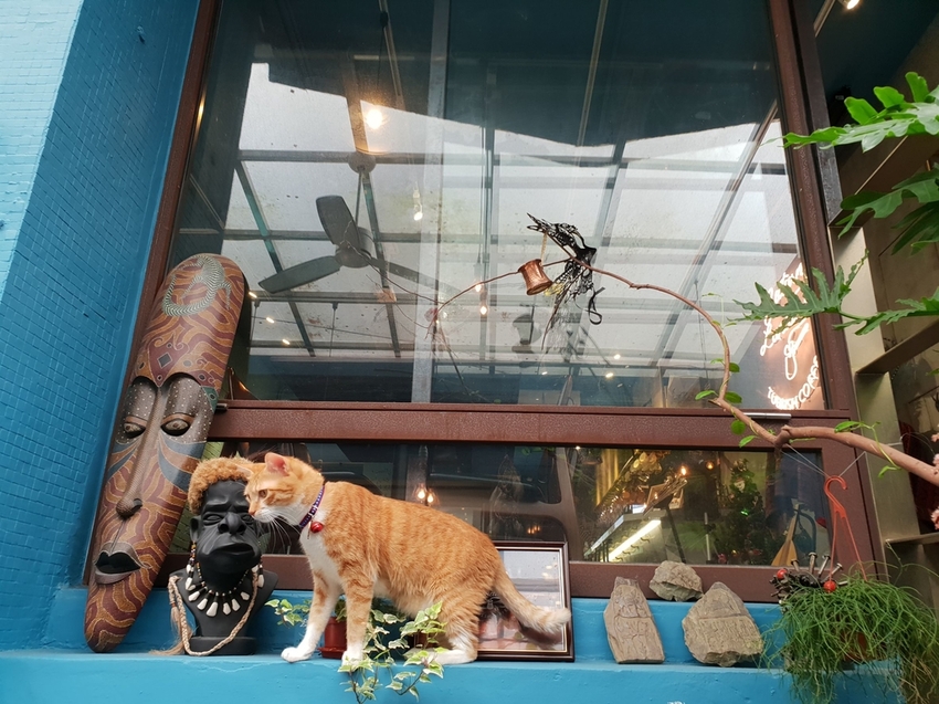 200852.jpg - 【台北.東門站】登陸土星永康店友善寵物咖啡廳。土耳其咖啡超好喝。藍色系網美店超好拍