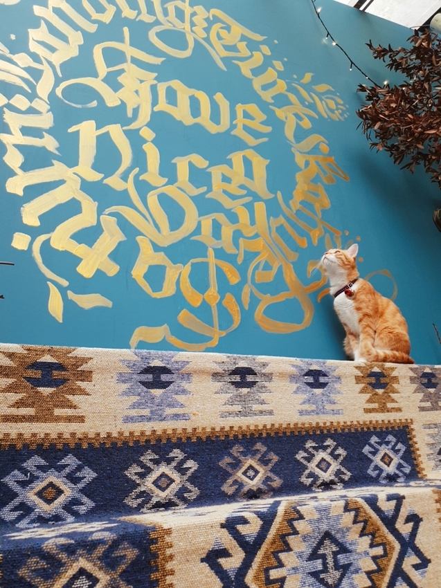 200921.jpg - 【台北.東門站】登陸土星永康店友善寵物咖啡廳。土耳其咖啡超好喝。藍色系網美店超好拍