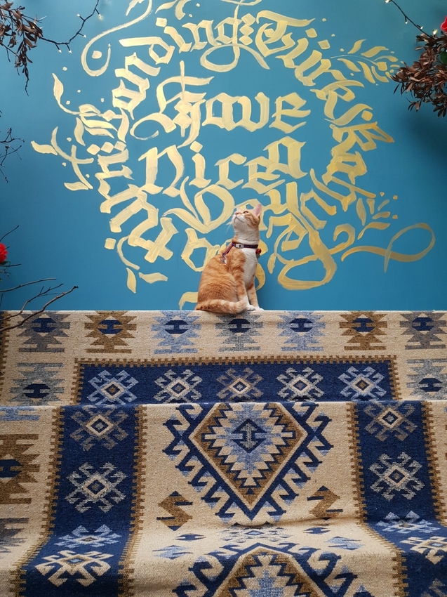 200922.jpg - 【台北.東門站】登陸土星永康店友善寵物咖啡廳。土耳其咖啡超好喝。藍色系網美店超好拍