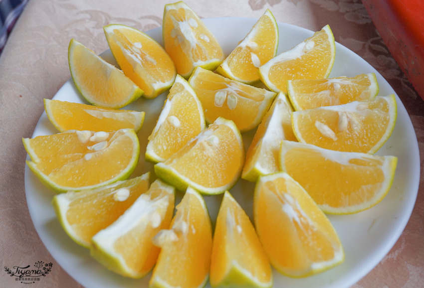 雲林古坑華山美食：桂竹林休閒餐廳，台灣咖啡入菜蝴蝶休閒餐廳，台菜山產美味佳餚這裡吃 @緹雅瑪 美食旅遊趣