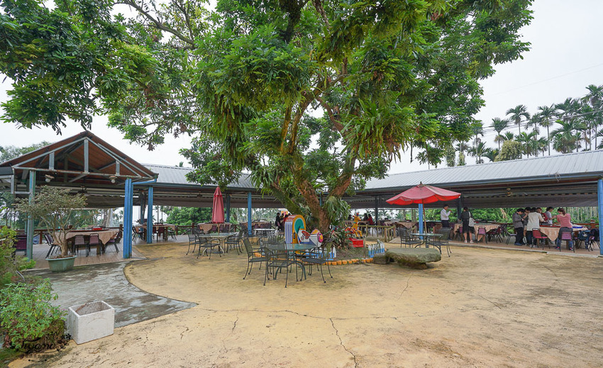 雲林古坑華山美食：桂竹林休閒餐廳，台灣咖啡入菜蝴蝶休閒餐廳，台菜山產美味佳餚這裡吃 @緹雅瑪 美食旅遊趣