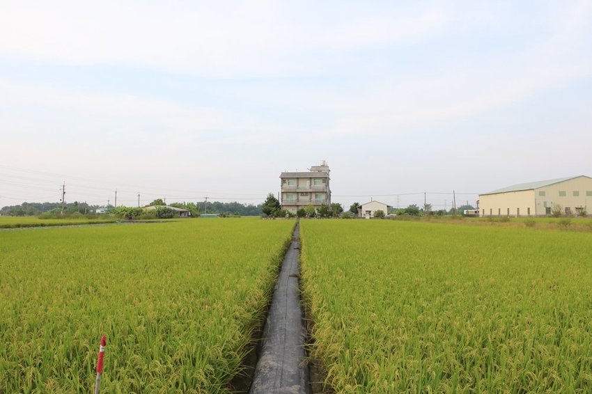 台南 東山。2020西拉雅族夜祭 x 東山吉貝耍部落巡禮 部落學堂 大公廨 小公廨