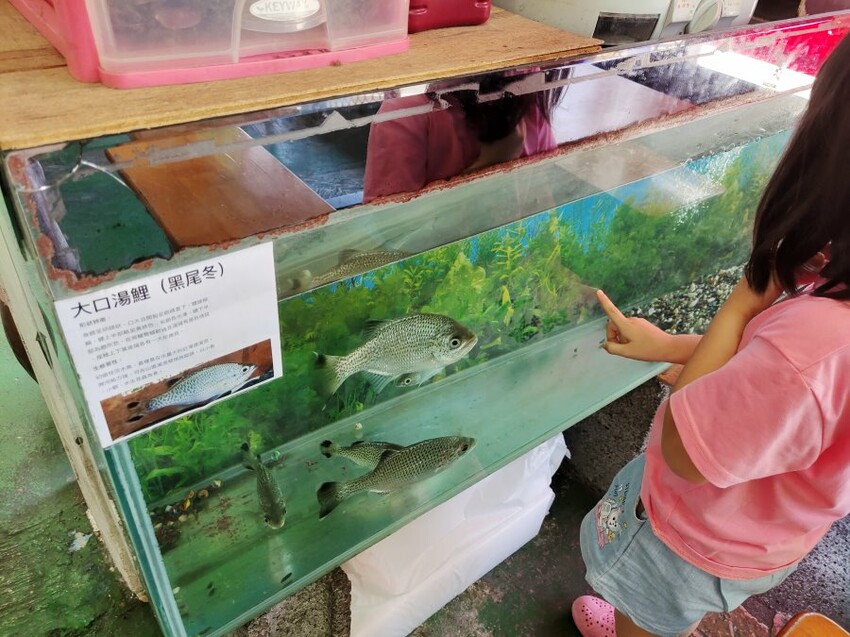 【南澳美食】安打烏醋麵.往返蘇花改超人氣小吃店!