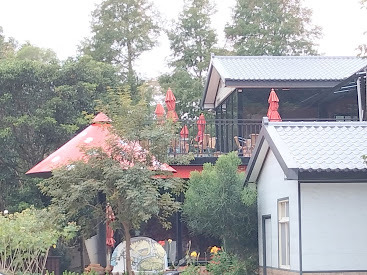 新竹休憩景點-九芎湖陳家農場-客家美食、山林美景、悠閒怡然自得