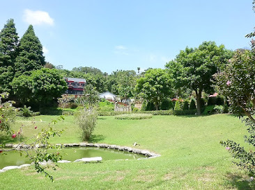 新竹休憩景點-九芎湖陳家農場-客家美食、山林美景、悠閒怡然自得