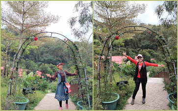 新竹休憩景點-九芎湖陳家農場-客家美食、山林美景、悠閒怡然自得