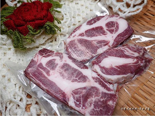 蒙古紅-西班牙伊比利梅花豬 (4).jpg