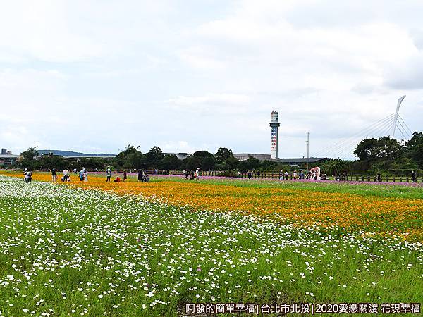 愛戀關渡花現幸福22-花海區中段往焚化爐方向一景.JPG
