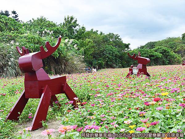 愛戀關渡花現幸福10-花毯裡的麋鹿.JPG