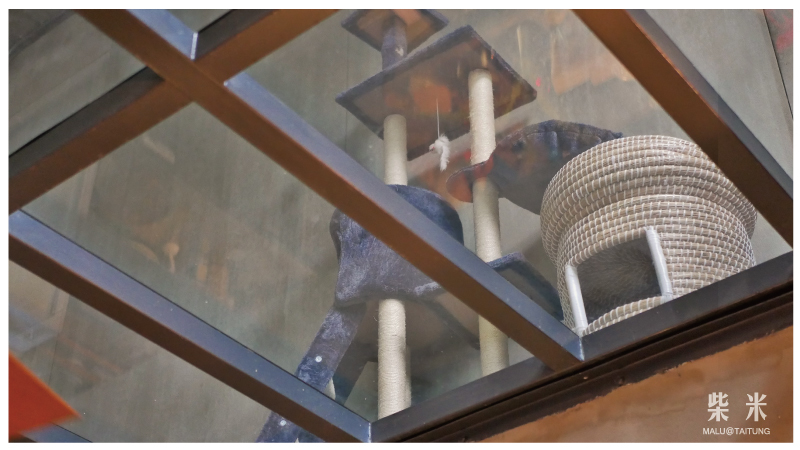 柴米dailykitchen-18