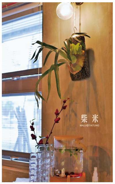 柴米dailykitchen-12