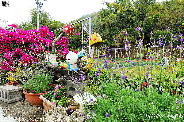 1553432357-1406662523_n