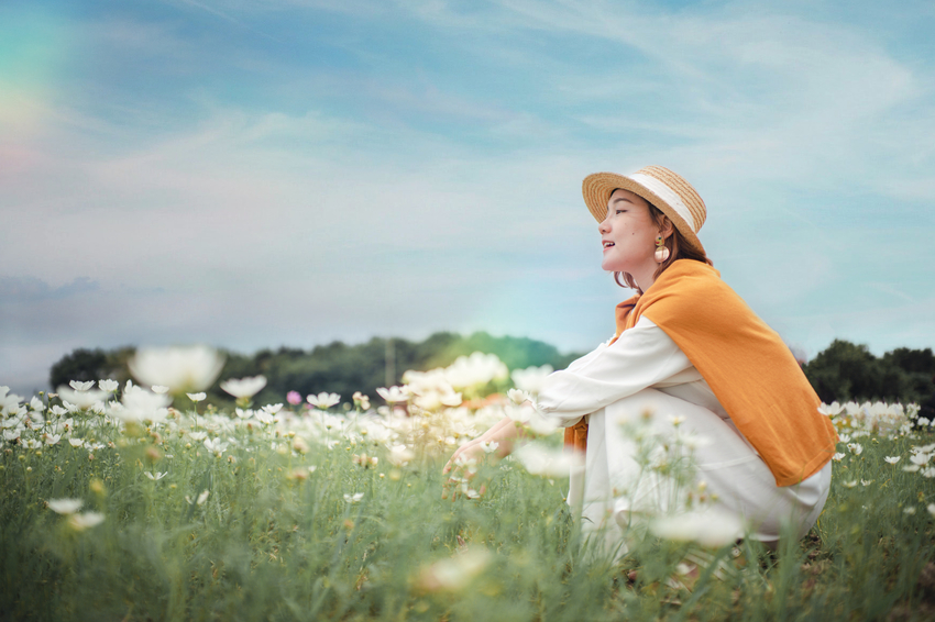 2020關渡秘境花海。4公頃大波斯菊浪漫|花期、交通路線、接駁車資訊懶人包