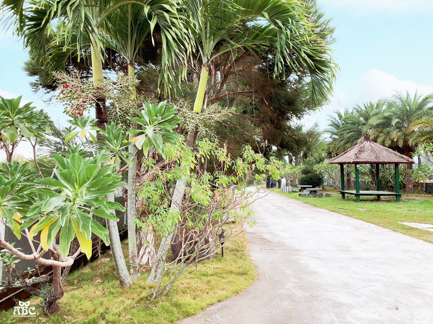雲林住宿|古坑棕櫚島民宿,樓中樓villa私人專屬庭院,大理石浴池!