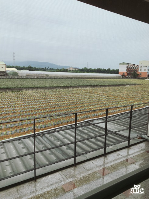 雲林住宿|古坑棕櫚島民宿,樓中樓villa私人專屬庭院,大理石浴池!