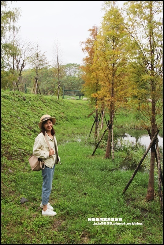 月眉生態池29.JPG