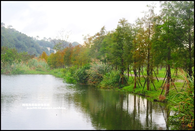 月眉生態池32.JPG