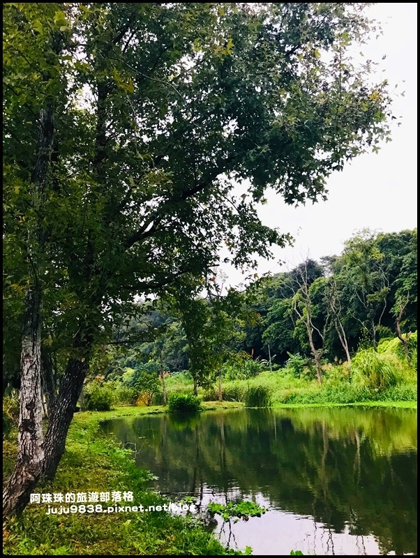 月眉生態池19.JPG