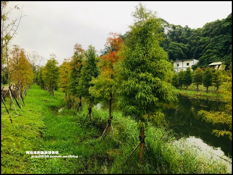月眉生態池5.JPG