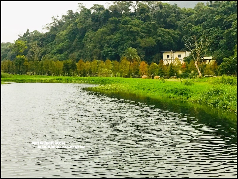 月眉生態池20.JPG