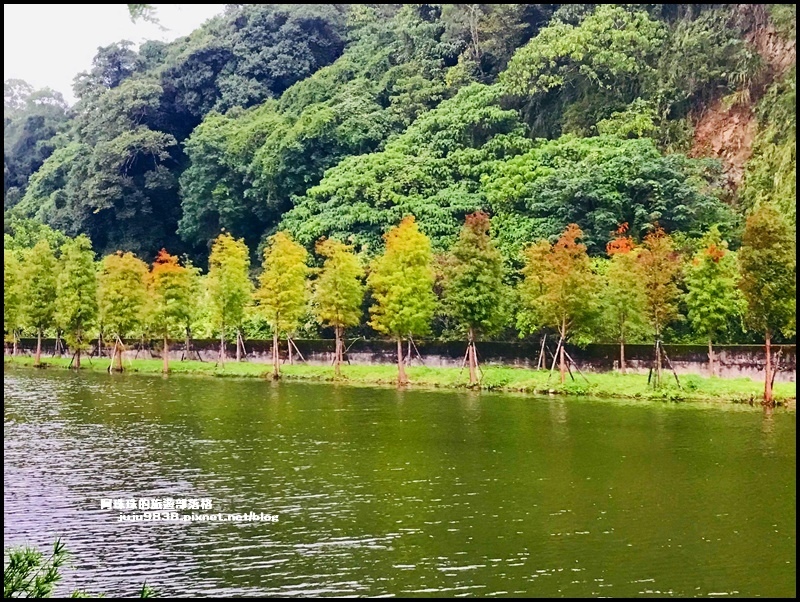 月眉生態池10.JPG
