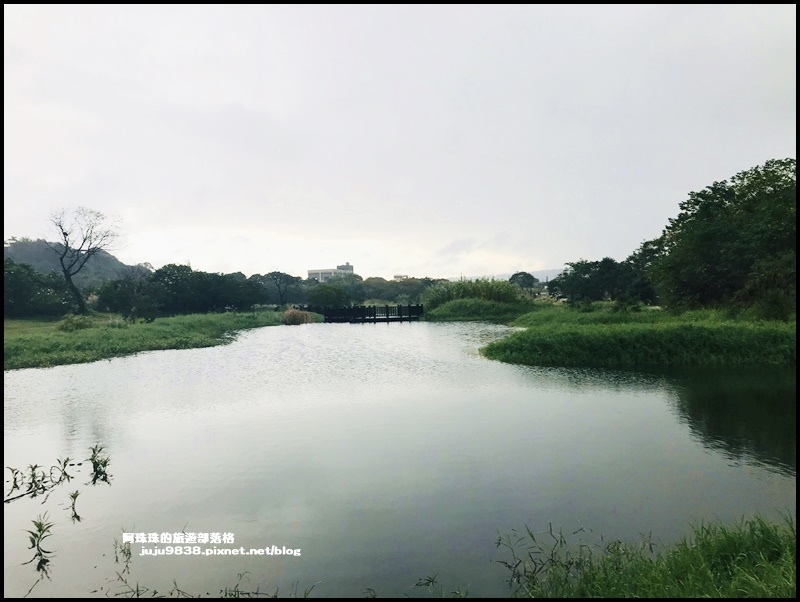 月眉生態池2.JPG