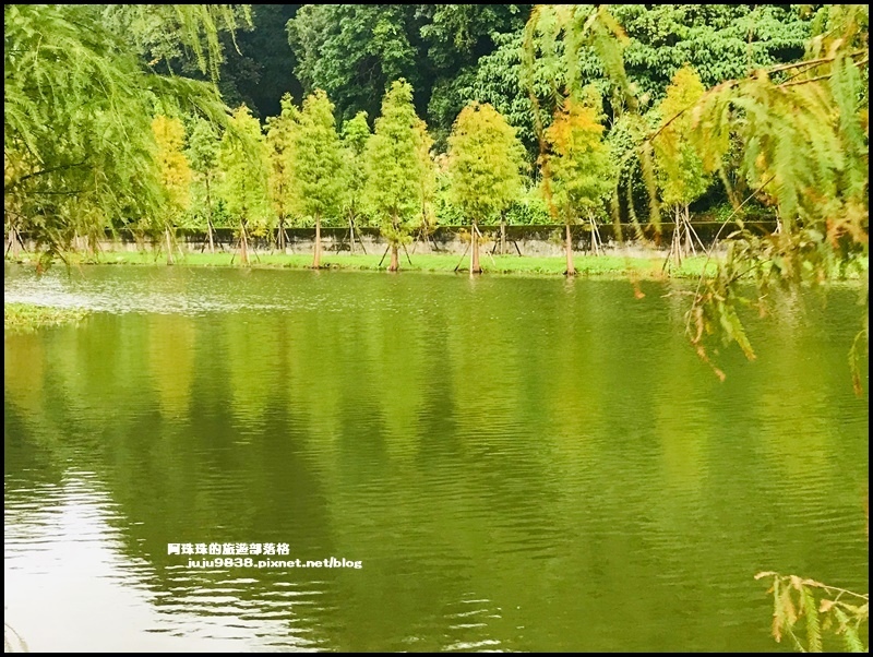 月眉生態池11.JPG