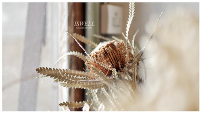 池上咖啡店ISWELL-24