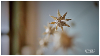 池上咖啡店ISWELL-23