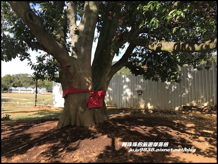 雲夢山丘10.JPG 雲夢山丘10.JPG