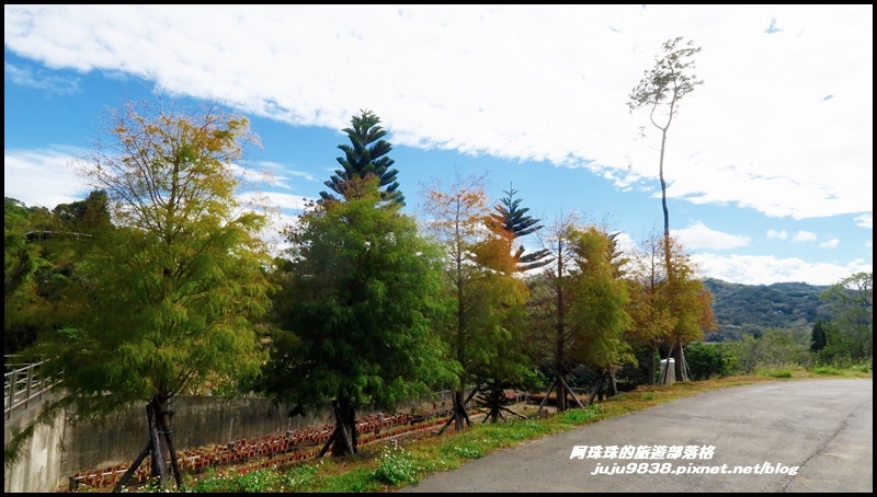 雲夢山丘38.JPG 雲夢山丘38.JPG