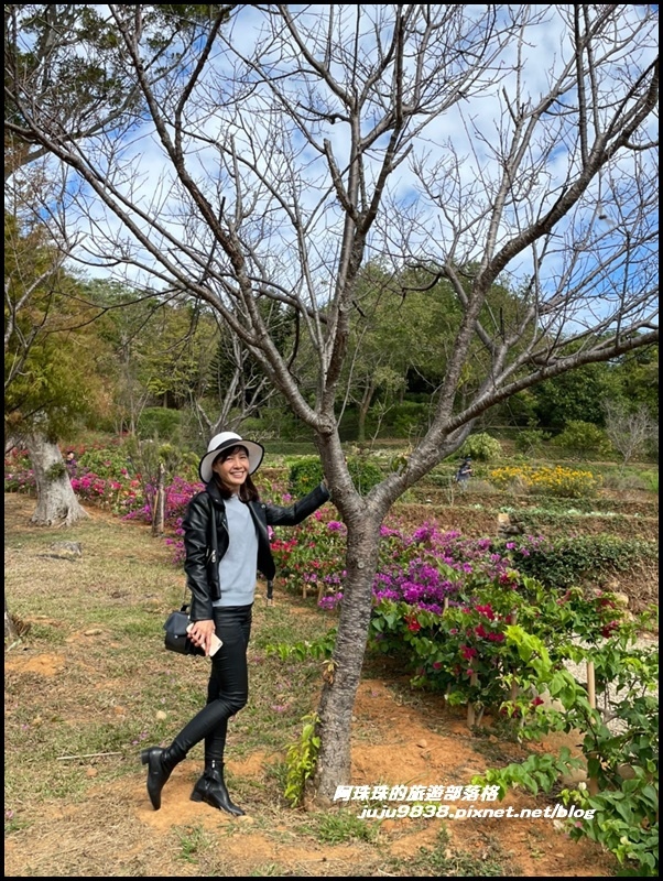 雲夢山丘2 4.JPG 雲夢山丘2 4.JPG