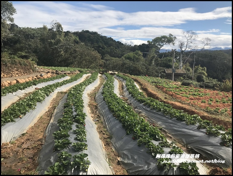 雲夢山丘6.JPG 雲夢山丘6.JPG