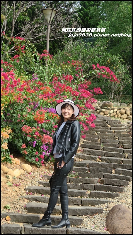 雲夢山丘35.JPG 雲夢山丘35.JPG