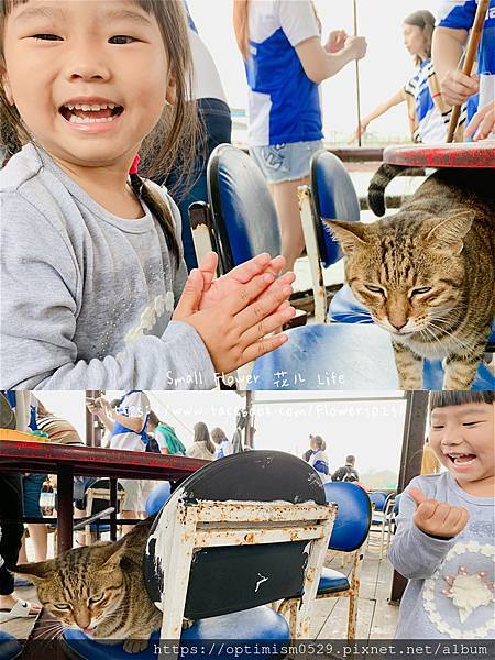 《嘉義-東石》綠色環境教育場所/漁場生態親子旅遊/划船/摸文蛤/釣魚/烤海鮮/瘋童玩/海盜扮演，吃喝玩樂通通都在「向禾休閒漁場(蔡牽海盜村)」