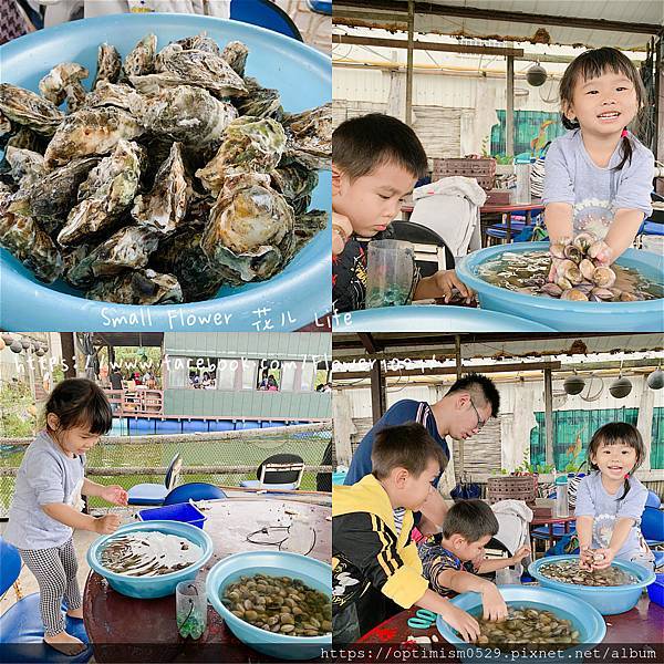 《嘉義-東石》綠色環境教育場所/漁場生態親子旅遊/划船/摸文蛤/釣魚/烤海鮮/瘋童玩/海盜扮演，吃喝玩樂通通都在「向禾休閒漁場(蔡牽海盜村)」
